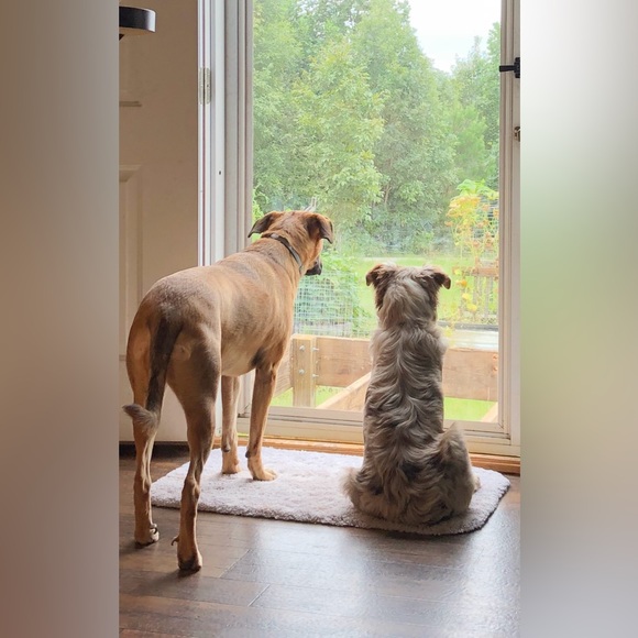 Meet your Posher, Shannon - Picture 7 of 7